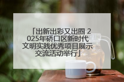 出新出彩又出圈 2025年硚口区新时代文明实践优秀项目展示交流活动举行