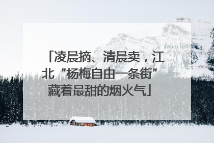 凌晨摘、清晨卖，江北“杨梅自由一条街”藏着最甜的烟火气