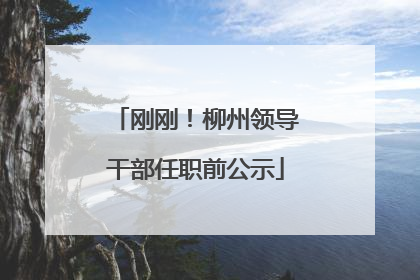 刚刚！柳州领导干部任职前公示