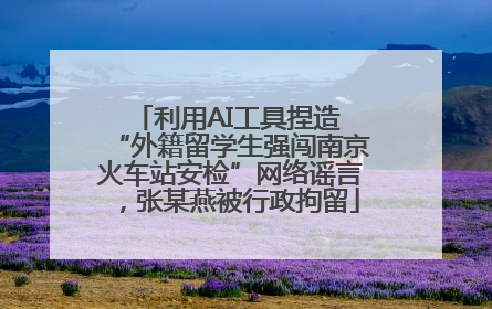 利用AI工具捏造 “外籍留学生强闯南京火车站安检”网络谣言，张某燕被行政拘留