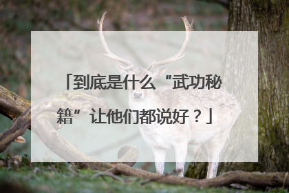 到底是什么“武功秘籍”让他们都说好？
