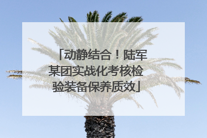 动静结合！陆军某团实战化考核检验装备保养质效