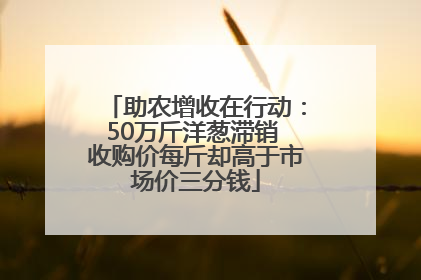 助农增收在行动：50万斤洋葱滞销 收购价每斤却高于市场价三分钱