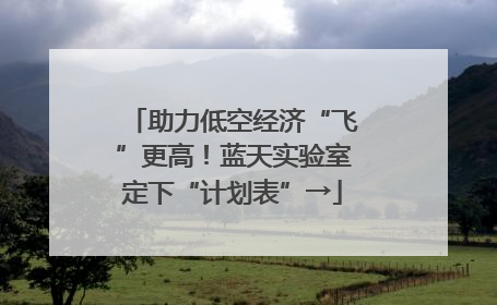 助力低空经济“飞”更高！蓝天实验室定下“计划表”→