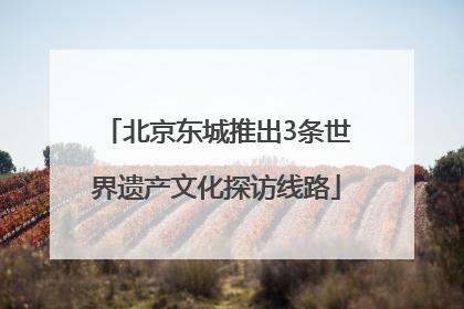 北京东城推出3条世界遗产文化探访线路