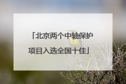 北京两个中轴保护项目入选全国十佳