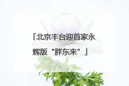 北京丰台迎首家永辉版“胖东来”