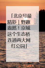 北京号最精彩｜野趣盎然！京城这个生态桥连通两大网红公园
