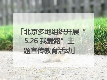 北京多地组织开展“5.26 我爱路”主题宣传教育活动