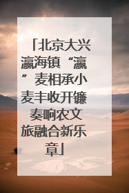 北京大兴瀛海镇“瀛”麦相承小麦丰收开镰 奏响农文旅融合新乐章