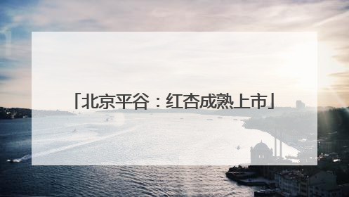 北京平谷：红杏成熟上市