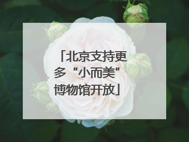 北京支持更多“小而美”博物馆开放