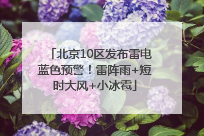 北京10区发布雷电蓝色预警！雷阵雨+短时大风+小冰雹