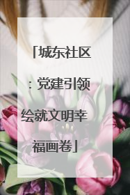 城东社区：党建引领绘就文明幸福画卷