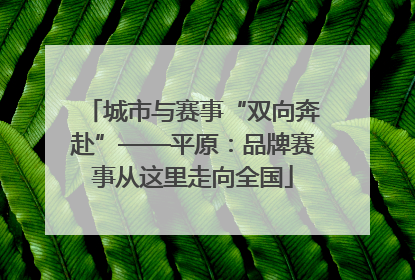 城市与赛事“双向奔赴”——平原：品牌赛事从这里走向全国