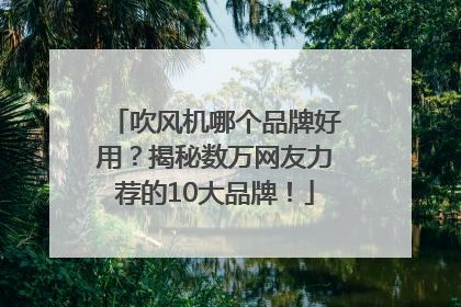 吹风机哪个品牌好用？揭秘数万网友力荐的10大品牌！