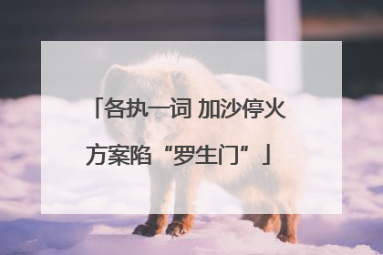 各执一词 加沙停火方案陷“罗生门”