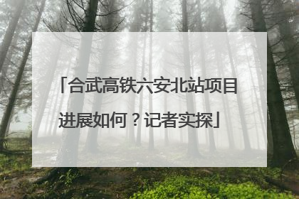合武高铁六安北站项目进展如何？记者实探