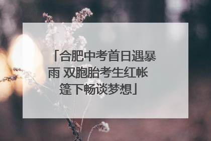 合肥中考首日遇暴雨 双胞胎考生红帐篷下畅谈梦想