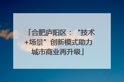 合肥庐阳区：“技术+场景”创新模式助力城市商业再升级