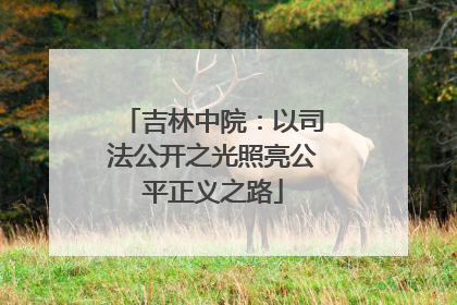 吉林中院：以司法公开之光照亮公平正义之路