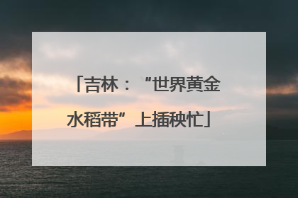 吉林：“世界黄金水稻带”上插秧忙