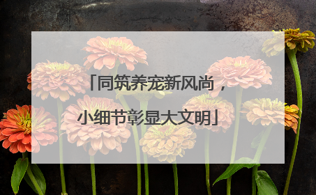 同筑养宠新风尚，小细节彰显大文明