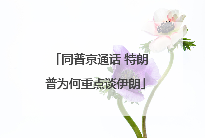 同普京通话 特朗普为何重点谈伊朗