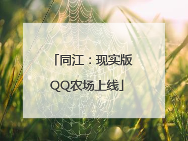 同江：现实版QQ农场上线