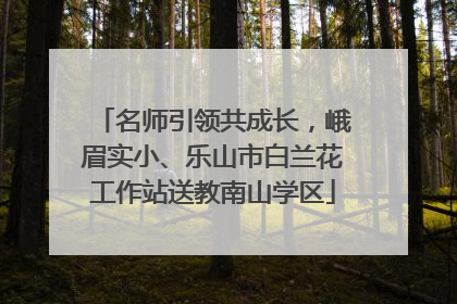 名师引领共成长，峨眉实小、乐山市白兰花工作站送教南山学区
