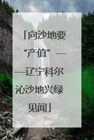 向沙地要“产值”——辽宁科尔沁沙地兴绿见闻