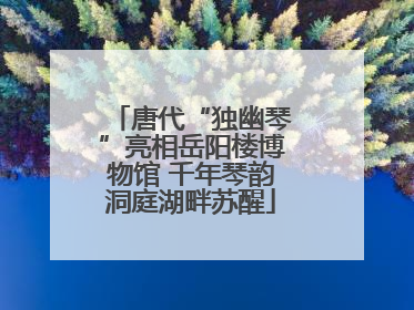 唐代“独幽琴”亮相岳阳楼博物馆 千年琴韵洞庭湖畔苏醒
