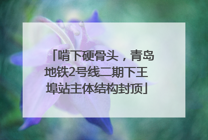 啃下硬骨头，青岛地铁2号线二期下王埠站主体结构封顶