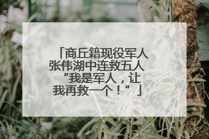 商丘籍现役军人张伟湖中连救五人 “我是军人，让我再救一个！”