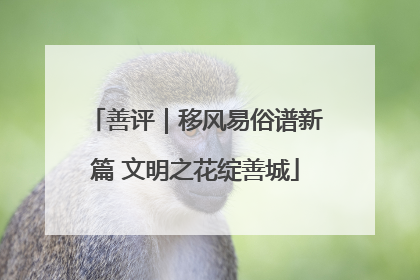 善评｜移风易俗谱新篇 文明之花绽善城