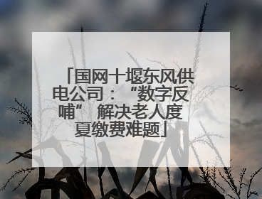 国网十堰东风供电公司：“数字反哺” 解决老人度夏缴费难题