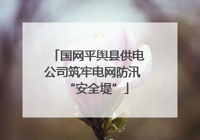 国网平舆县供电公司筑牢电网防汛“安全堤”