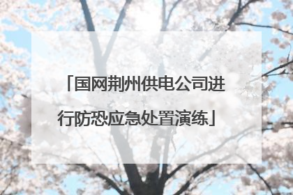 国网荆州供电公司进行防恐应急处置演练