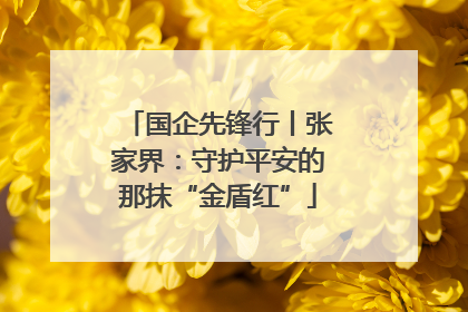 国企先锋行丨张家界：守护平安的那抹“金盾红”