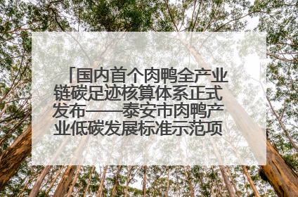 国内首个肉鸭全产业链碳足迹核算体系正式发布——泰安市肉鸭产业低碳发展标准示范项目顺利通过验收