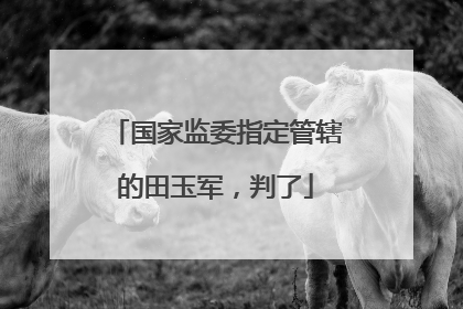 国家监委指定管辖的田玉军，判了