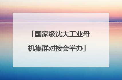 国家级沈大工业母机集群对接会举办