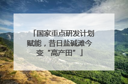 国家重点研发计划赋能，昔日盐碱滩今变“高产田”