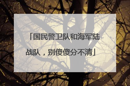国民警卫队和海军陆战队，别傻傻分不清
