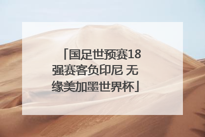 国足世预赛18强赛客负印尼 无缘美加墨世界杯