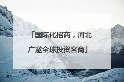 国际化招商，河北广邀全球投资客商