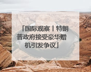 国际观察丨特朗普政府接受豪华赠机引发争议