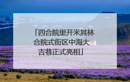 四合院里开米其林 合院式街区中海大吉巷正式亮相