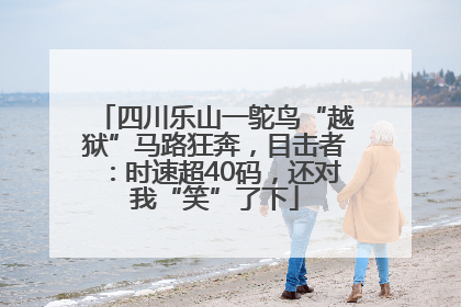 四川乐山一鸵鸟“越狱”马路狂奔，目击者：时速超40码，还对我“笑”了下