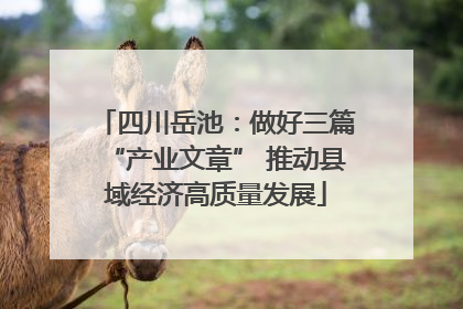 四川岳池：做好三篇“产业文章” 推动县域经济高质量发展